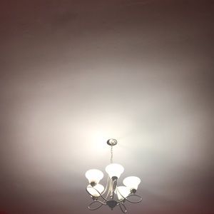 Meet your Posher, Carmen